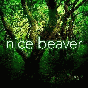 logo Nice Beaver